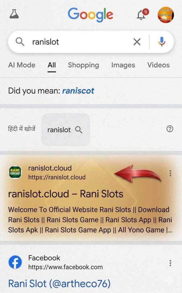 Disclaimer for ranislot.cloud