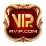 RVIP GAME